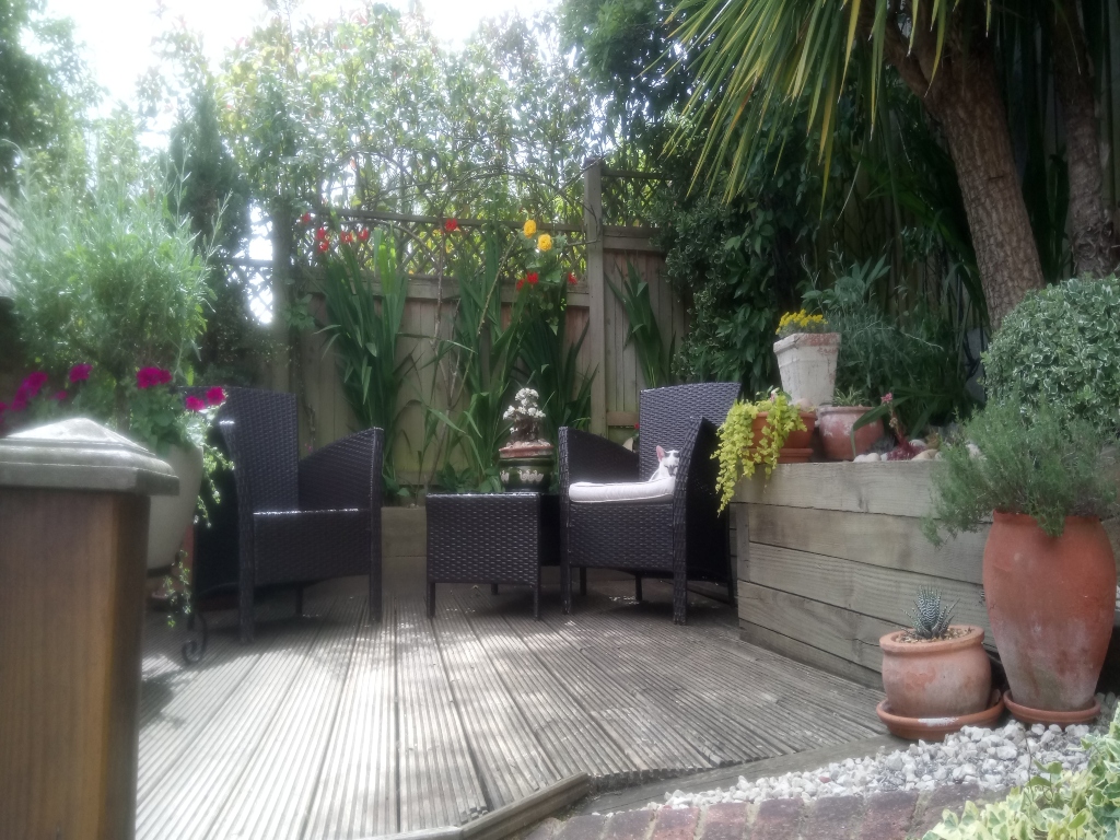 Garden with decking, plants and furniture 