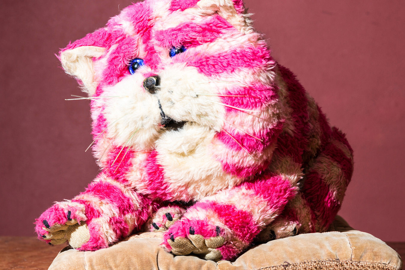 Bagpuss the pink and white cat sat on a cushion. 