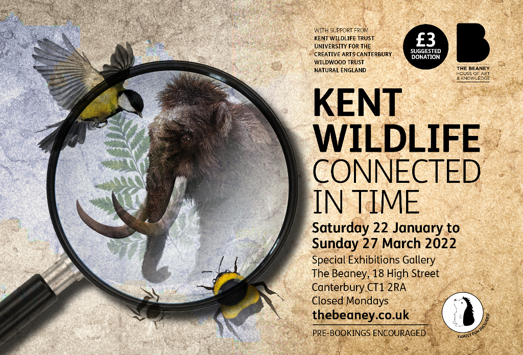 Kent Wildlife - Connected in Time