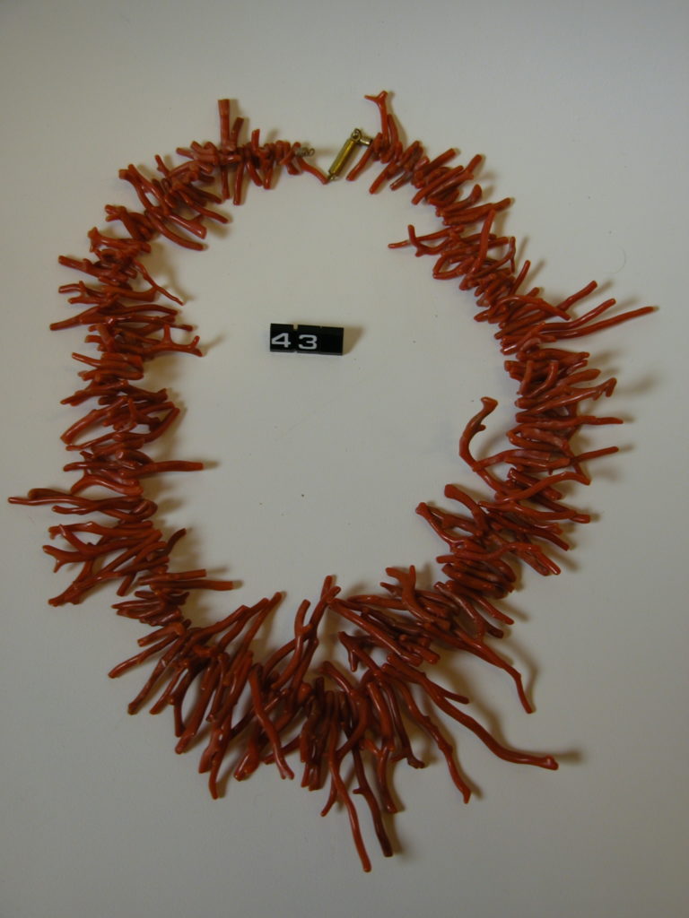 Staghorn coral necklace