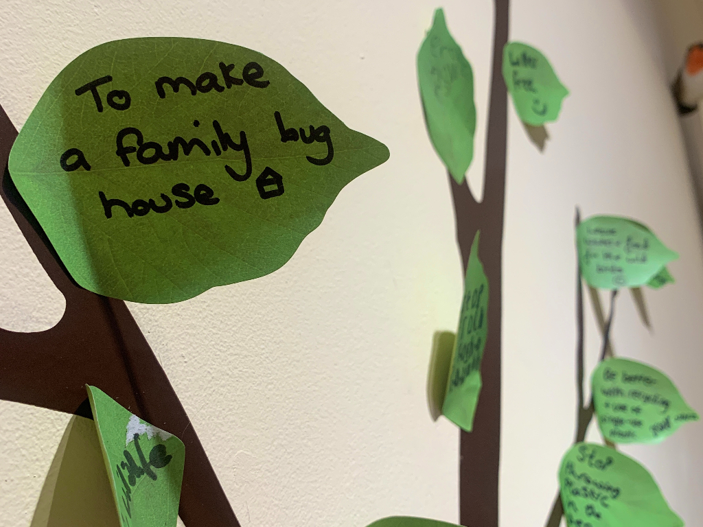 Pledges written on paper leaves and stuck on the Wildlife Pledge Tree. One says 'to make a family bug house'.