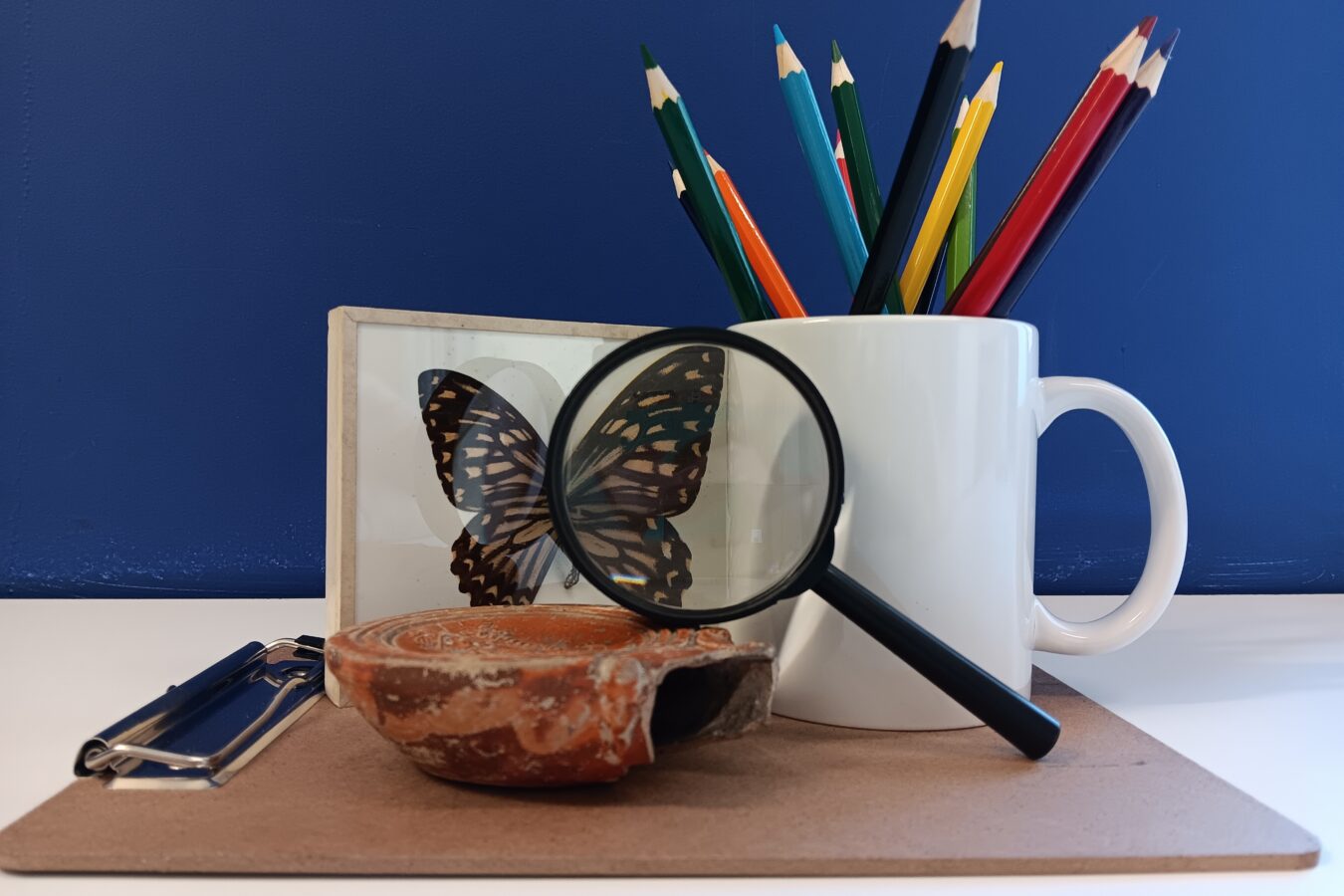 a collection of objects: a white mug containing coloured pencils, a patterned butterfly preserved in a frame, a magnifying glass and a ceramic bowl shaped object